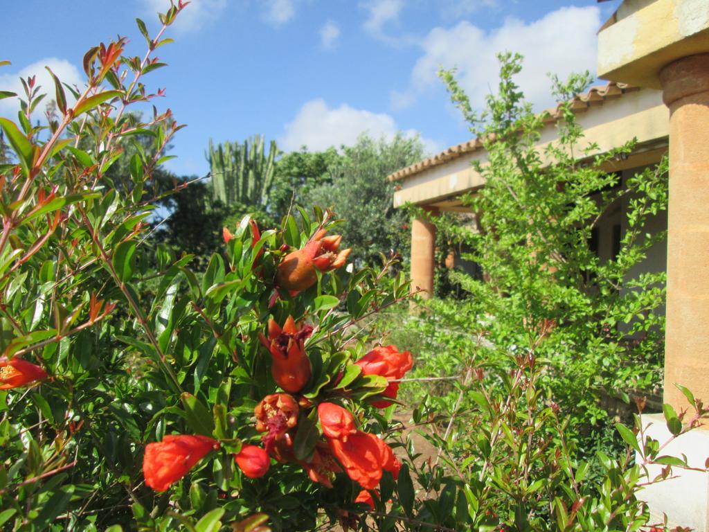 Country house A Giummara